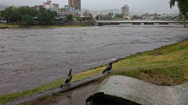 TEMPORALES EN TODO EL PAÍS: LLUVIAS EXTREMAS AFECTAN A VARIAS PROVINCIAS Y GENERAN SITUACIONES CRÍTICAS