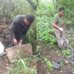 Tolerancia cero al daño ambiental: seis infracciones en operativos de control  