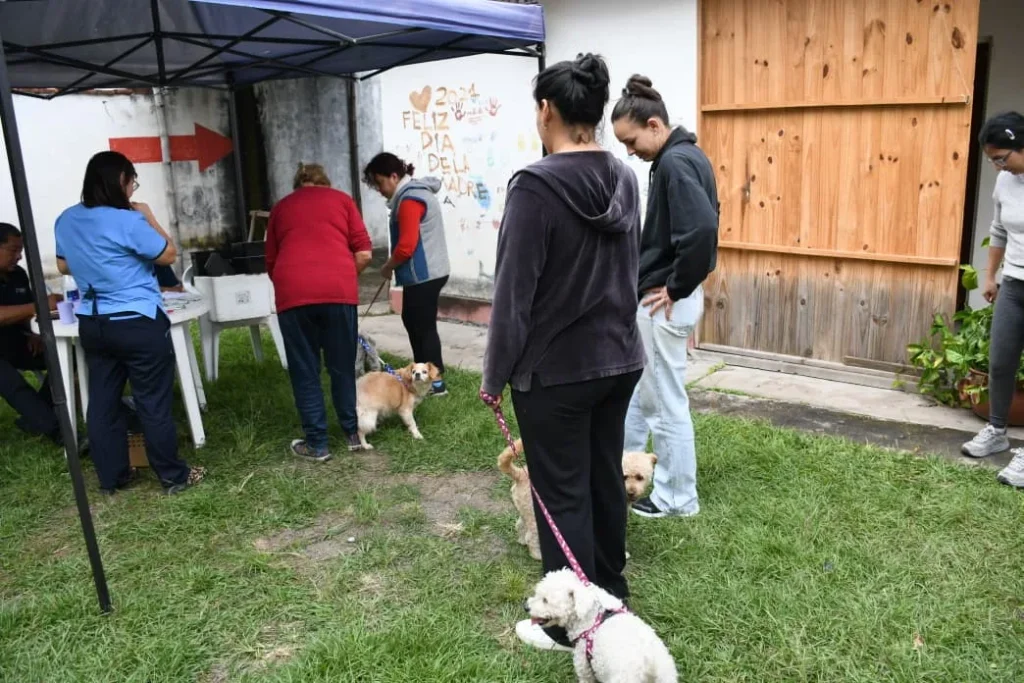 Desde este lunes 30 habrá vacunación antirrábica en barrio Grand Bourg