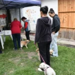 Desde este lunes 30 habrá vacunación antirrábica en barrio Grand Bourg