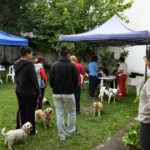 La campaña de vacunación antirrábica se desarrollará en zona oeste