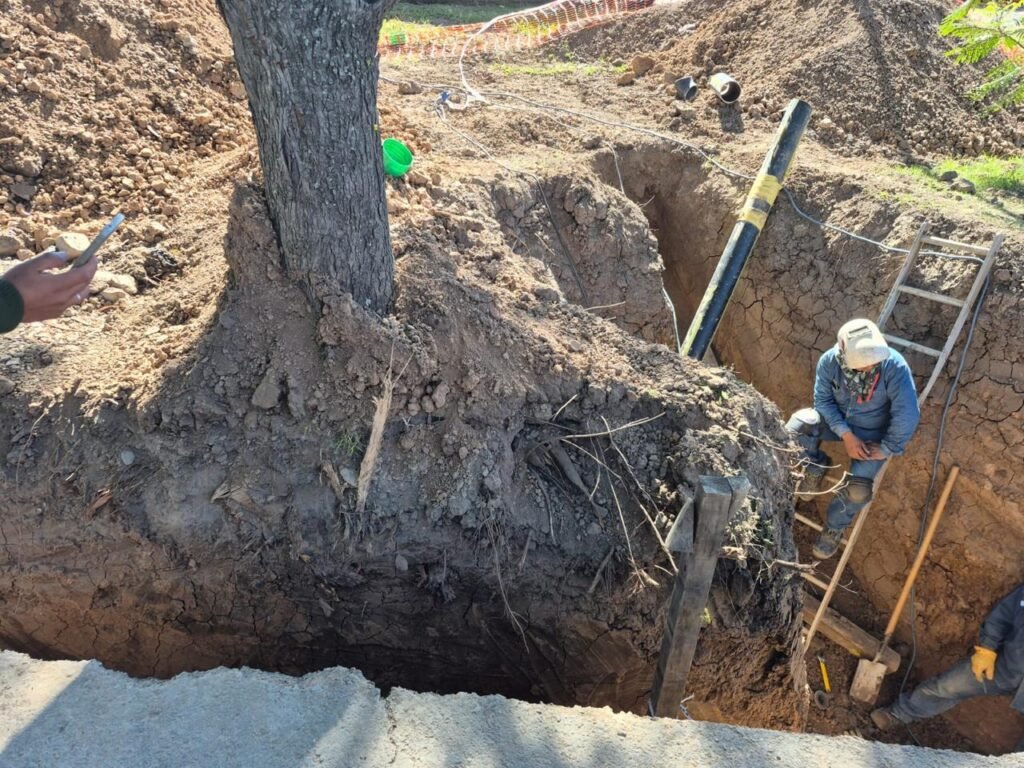 Multaron a Naturgy por daños ambientales en avenida Perón