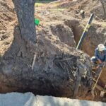 Multaron a Naturgy por daños ambientales en avenida Perón