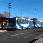 SAETA funcionará con frecuencia de domingo durante los feriados del 15 y 17 de junio