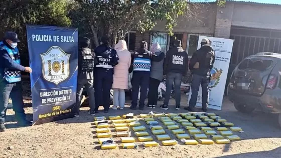 Más de 580 mil dosis de droga fueron incautadas en operativos realizados en Salta