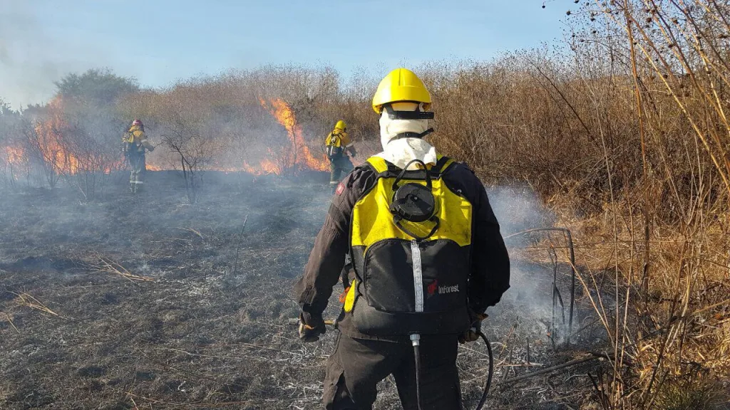 Por las altas temperaturas, la Municipalidad refuerza la prevención por riesgo de incendios forestales