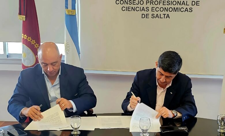 ATENCIÓN!!! Hasta el 21 de septiembre: el CPCES abrió un cupo para ayudar a entidades con sus estados contables